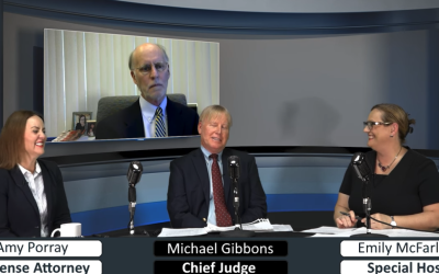 Gibbons, Petty, and Porray: Criminal Law Appeals, Nuts & Bolts; Part 2