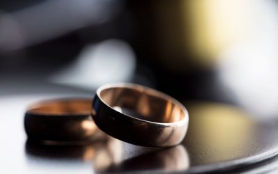 Assembly Bill 227: Making Annulment and Child Custody Cases Less Contentious and Less Expensive